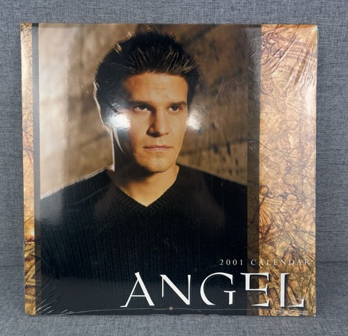 Vintage angel 2001 wall - 2001,